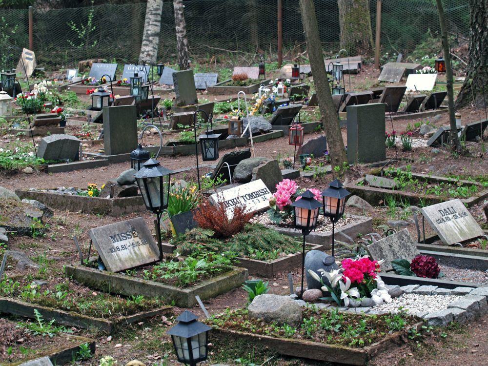 Berner Sennenhund Tierfriedhof