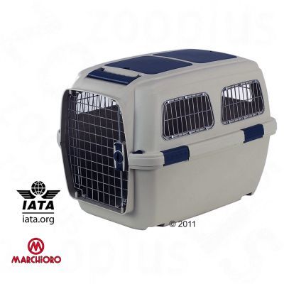 IATA Flugbox für Berner Sennenhund