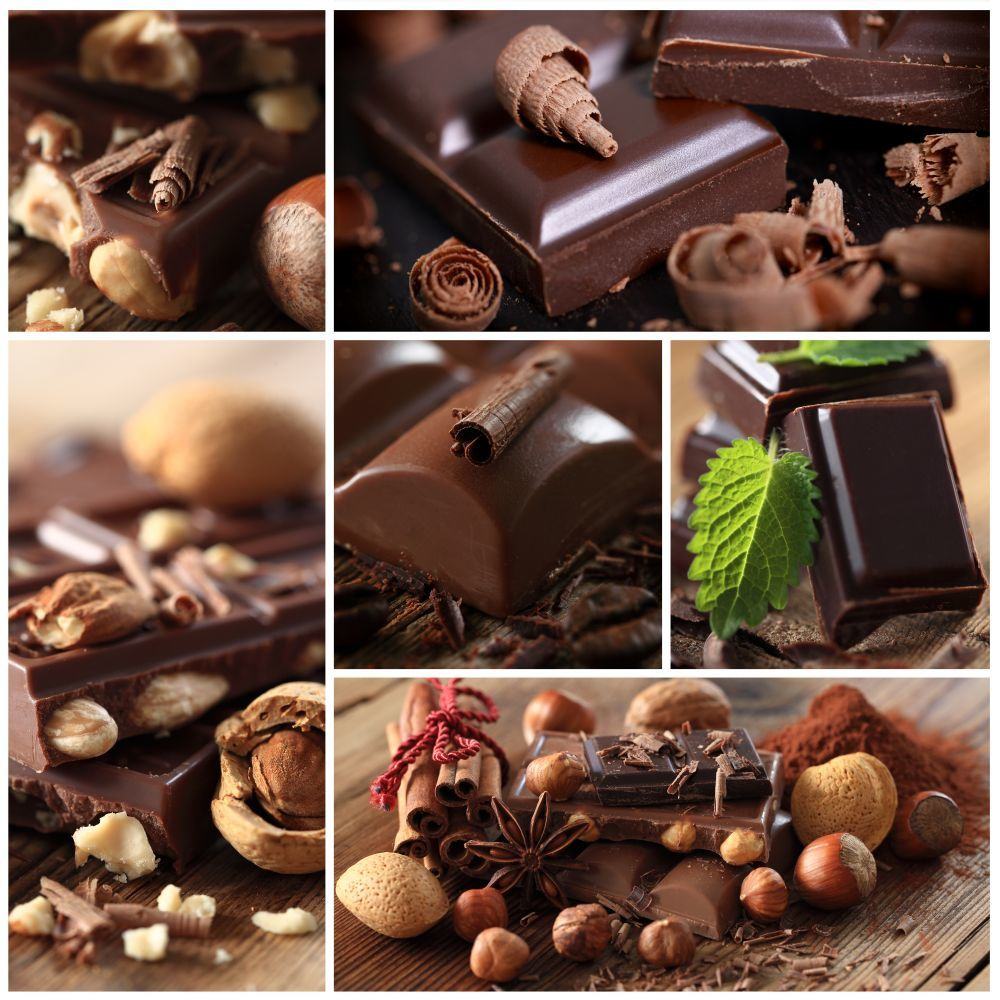 Schokolade als Leckerlie ist absolut Tabu.