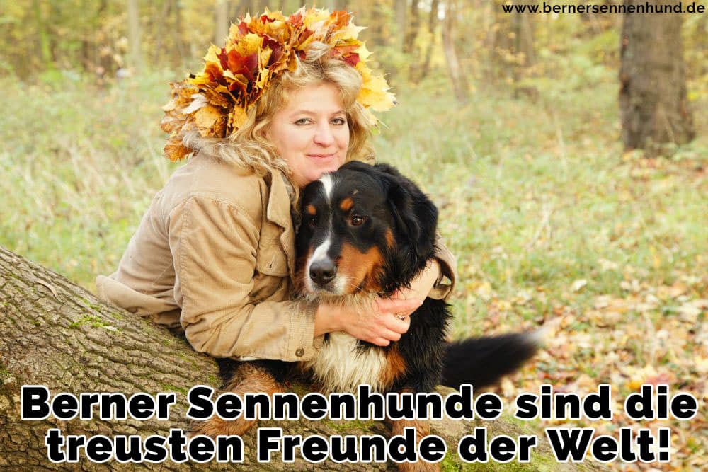 Eine Frau umarmt ihre Berner Sennenhund im Wald