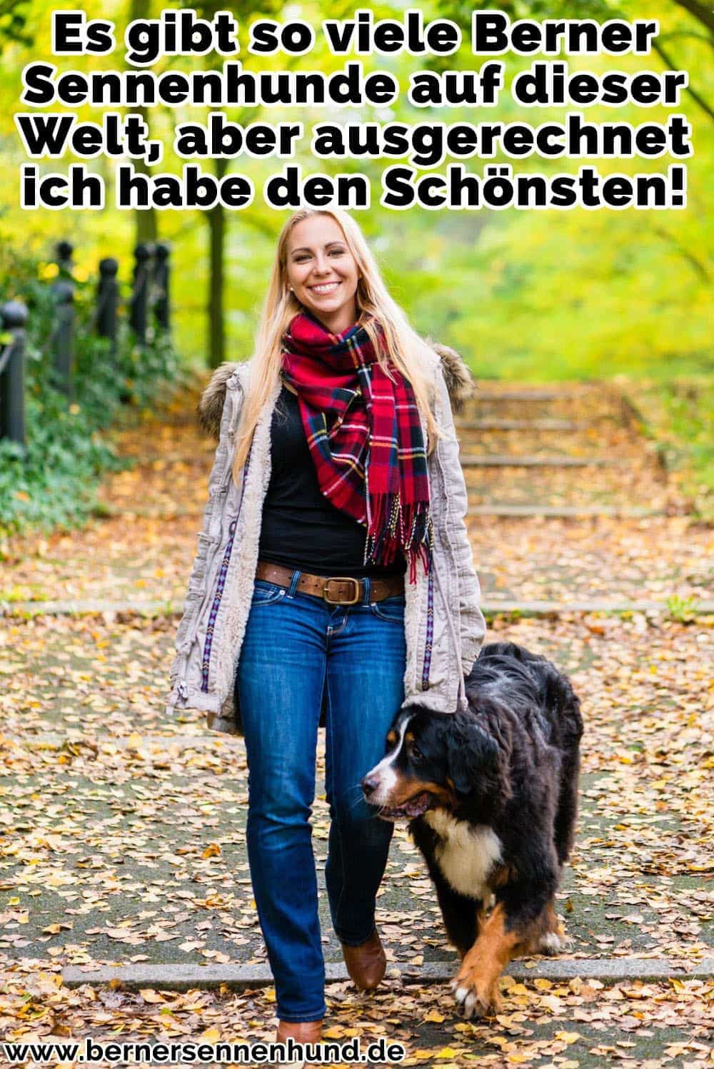 Eine Frau und ihre Berner Sennenhund Spaziergang im Park