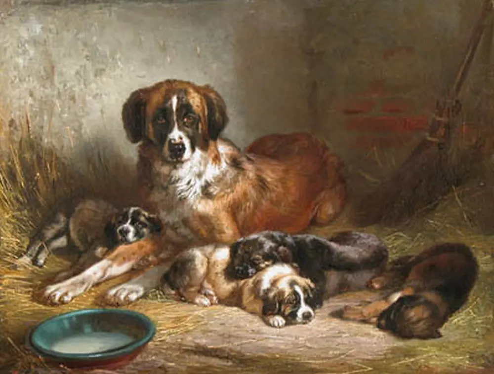 Berner Sennenhund Herkunft, Ursprung und Geschichte